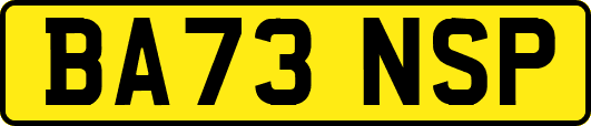 BA73NSP