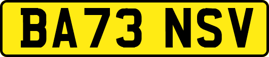 BA73NSV