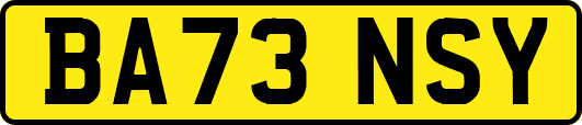 BA73NSY