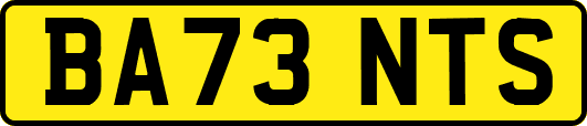 BA73NTS