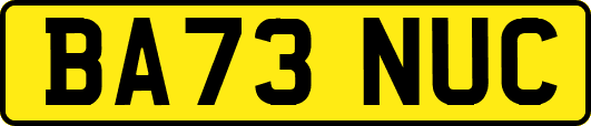 BA73NUC