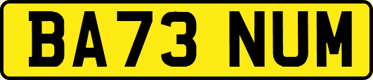 BA73NUM