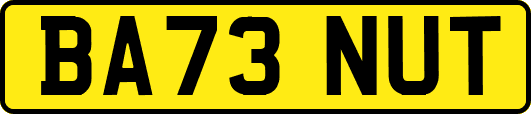 BA73NUT