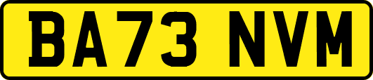 BA73NVM