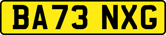BA73NXG