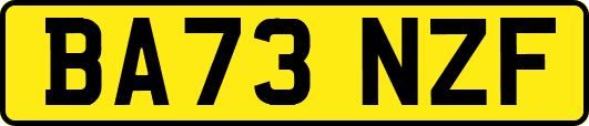 BA73NZF