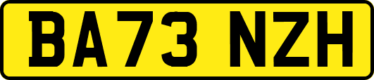 BA73NZH