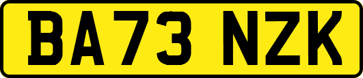 BA73NZK