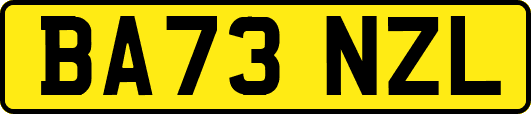 BA73NZL