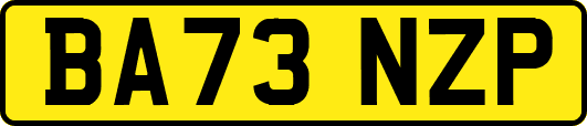BA73NZP