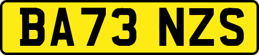 BA73NZS