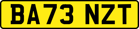 BA73NZT