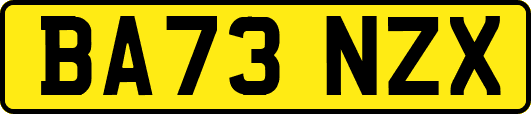 BA73NZX