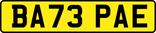 BA73PAE