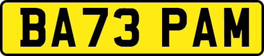 BA73PAM