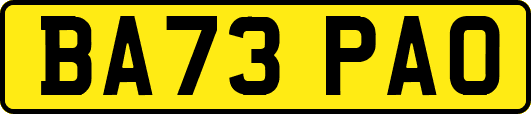 BA73PAO