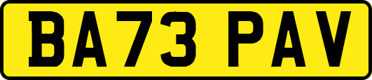 BA73PAV