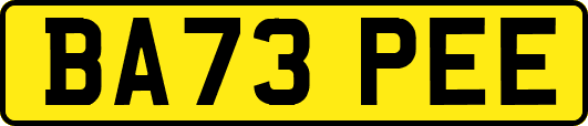 BA73PEE