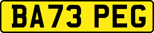 BA73PEG