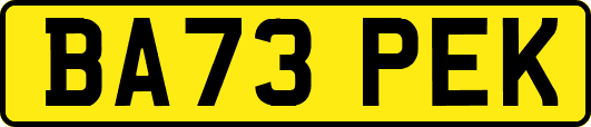 BA73PEK