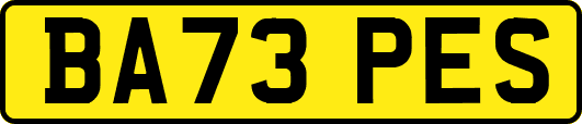 BA73PES