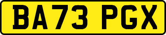 BA73PGX