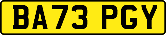 BA73PGY