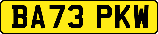 BA73PKW