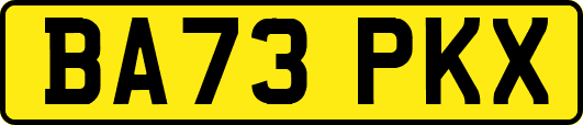 BA73PKX