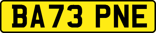 BA73PNE