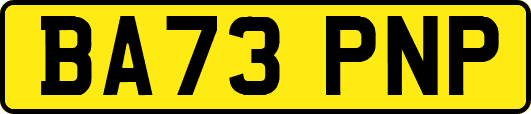 BA73PNP