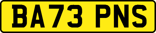 BA73PNS