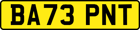 BA73PNT