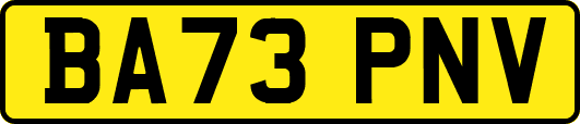 BA73PNV