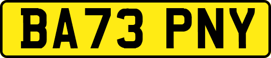 BA73PNY