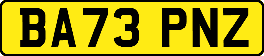 BA73PNZ