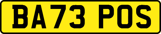 BA73POS