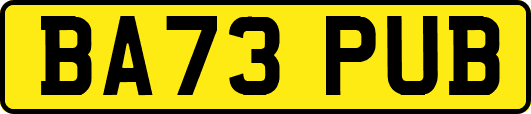 BA73PUB