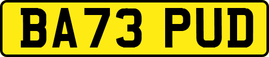 BA73PUD