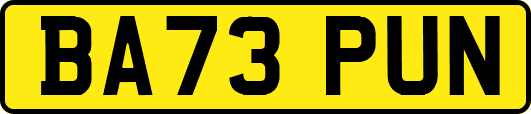 BA73PUN