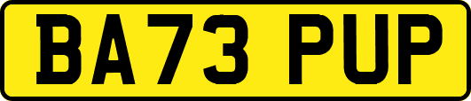 BA73PUP