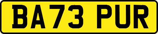 BA73PUR