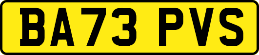 BA73PVS