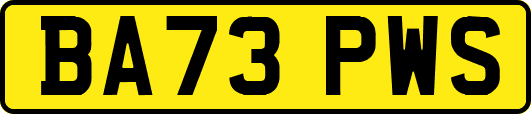 BA73PWS