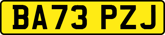 BA73PZJ
