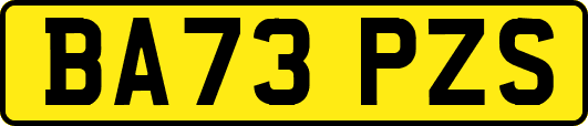 BA73PZS