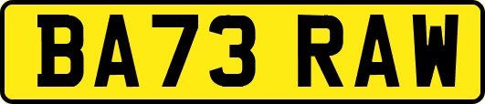 BA73RAW