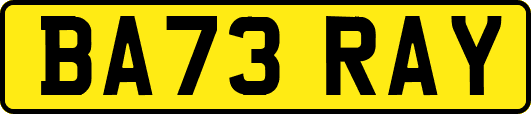BA73RAY
