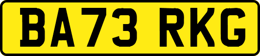 BA73RKG