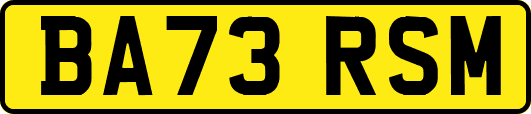 BA73RSM